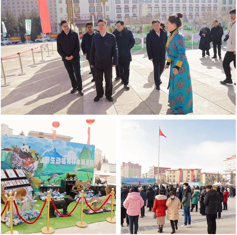 202303061678095050517758.png 2.png