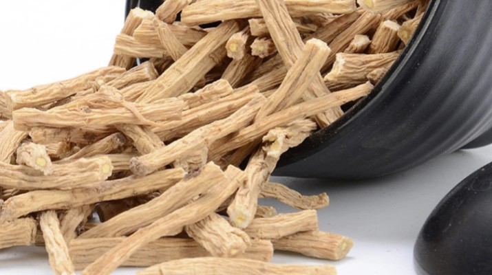 享游渭河源丨千年藥香浸潤(rùn)的山水秘境，開啟一場(chǎng)康養(yǎng)之旅