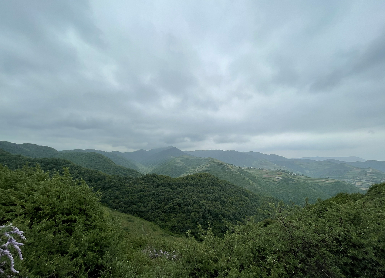 微信截圖_20210820094810.png 微信截圖_20210820094810.png